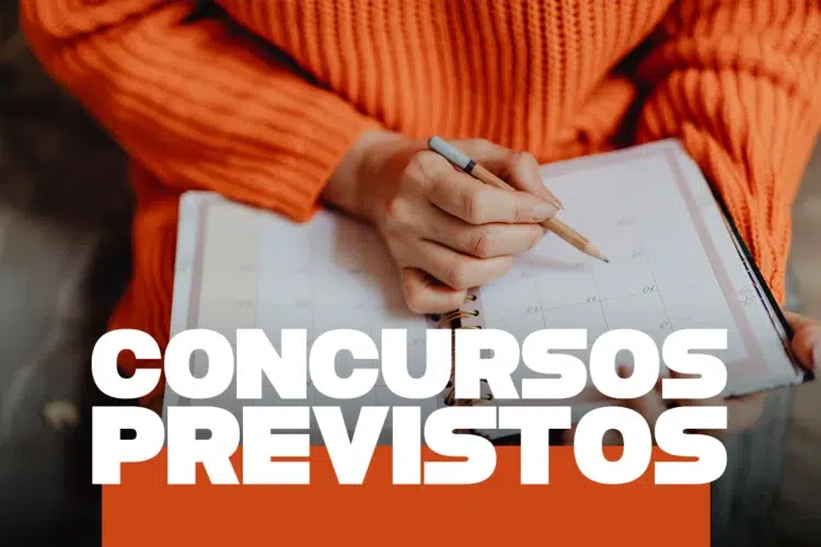 Data do concurso Petrobras 2026 já foi definida ou ainda não? Confira as novidades 2 Pessoa utilizando suéter laranja segura lápis sobre agenda aberta com texto “Concursos Previstos” na parte inferior.