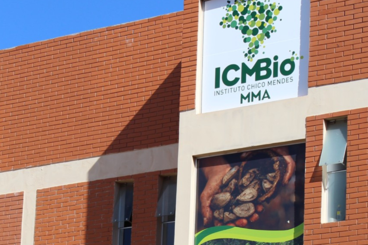 Prédio de tijolos do ICMBio com logotipo verde em forma de mapa do Brasil e painel exibindo mãos com castanhas